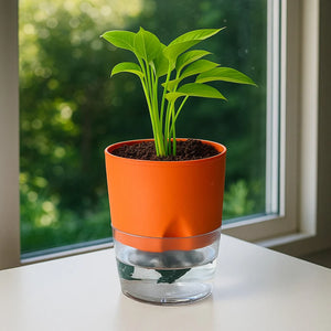 Self Watering Planter orange with Live Indoor Plant