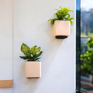 Indian Discovery Self-Watering Wall Hanging Planters (2 Pcs, Peach, Square) | UV-Resistant Hanging Pots with Stand | Plastic Planters for Balcony, Living Room, Home Décor & Gardening