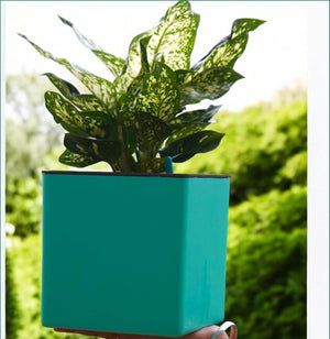 Elegant Multi-Color Self-Watering Square Planter - 7 PC