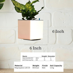 Indian Discovery Self-Watering Wall Hanging Planters (2 Pcs, Peach, Square) | UV-Resistant Hanging Pots with Stand | Plastic Planters for Balcony, Living Room, Home Décor & Gardening