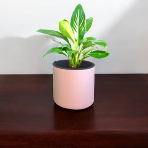 Classic Peach Self-Watering Round Planter