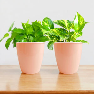 Elegant Peach Self-Watering Vistara Planter-2PC