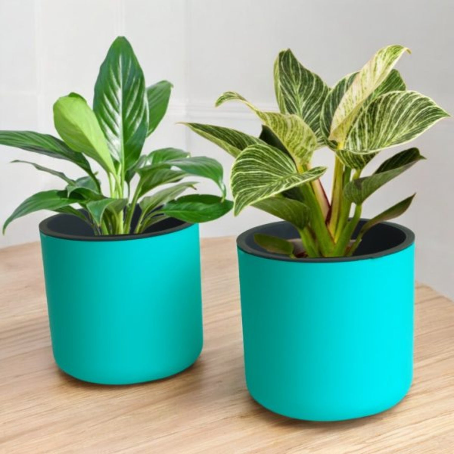 Classic Peacock Green Self-Watering Round Planter
