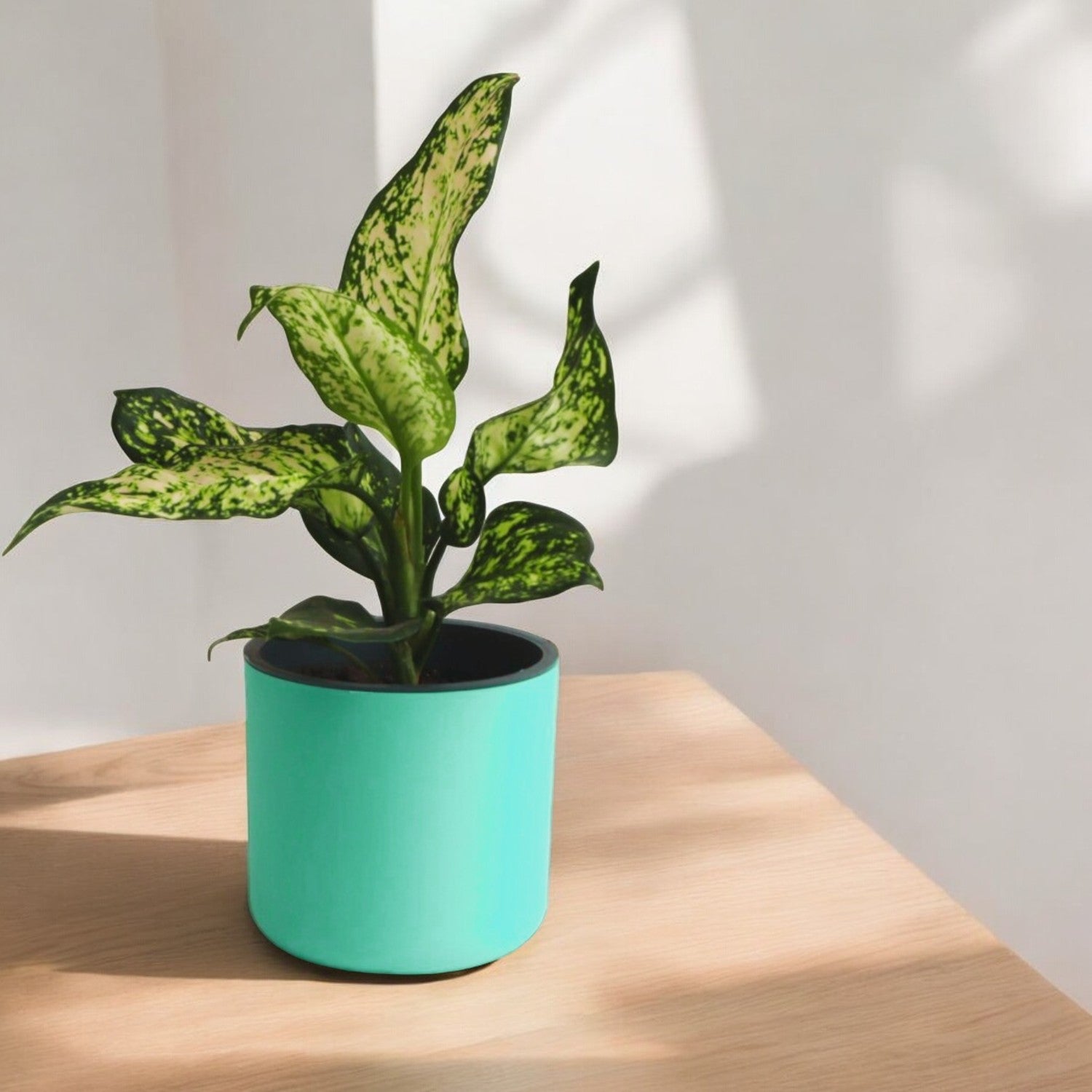 Classic Peacock Green Self-Watering Round Planter