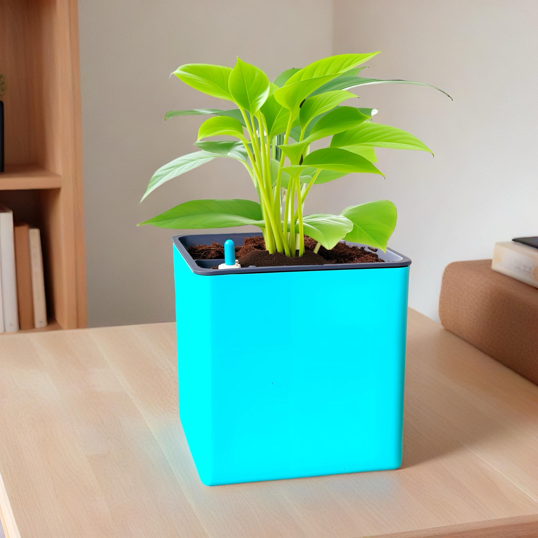 Elegant Peacock Green Self-Watering Square Planter