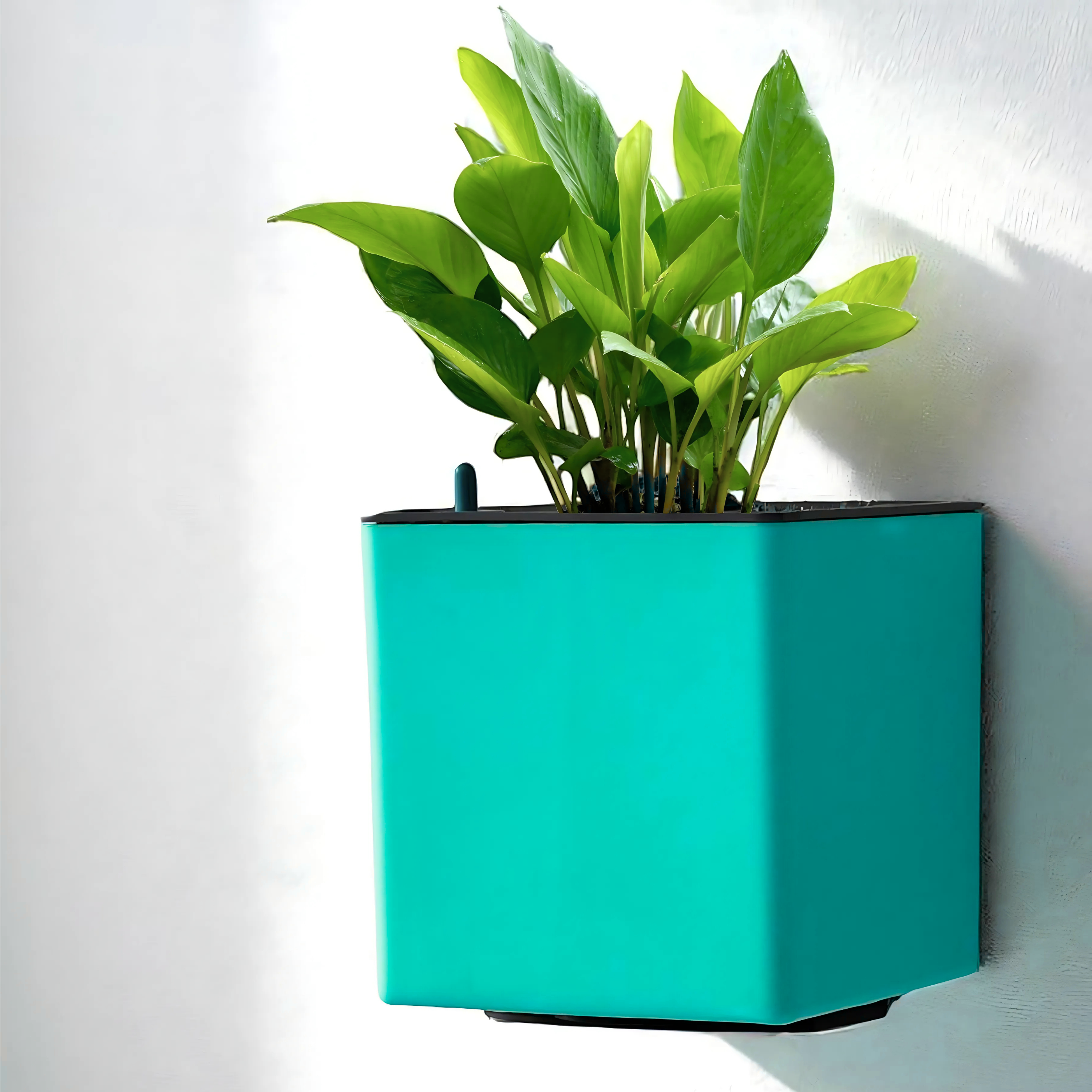 Elegant Peacock Green Self-Watering Wall Hanging Square Planter