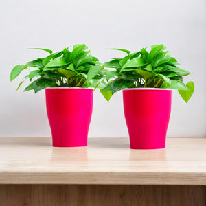 Elegant Pink Self-Watering Cone Planter-2PC
