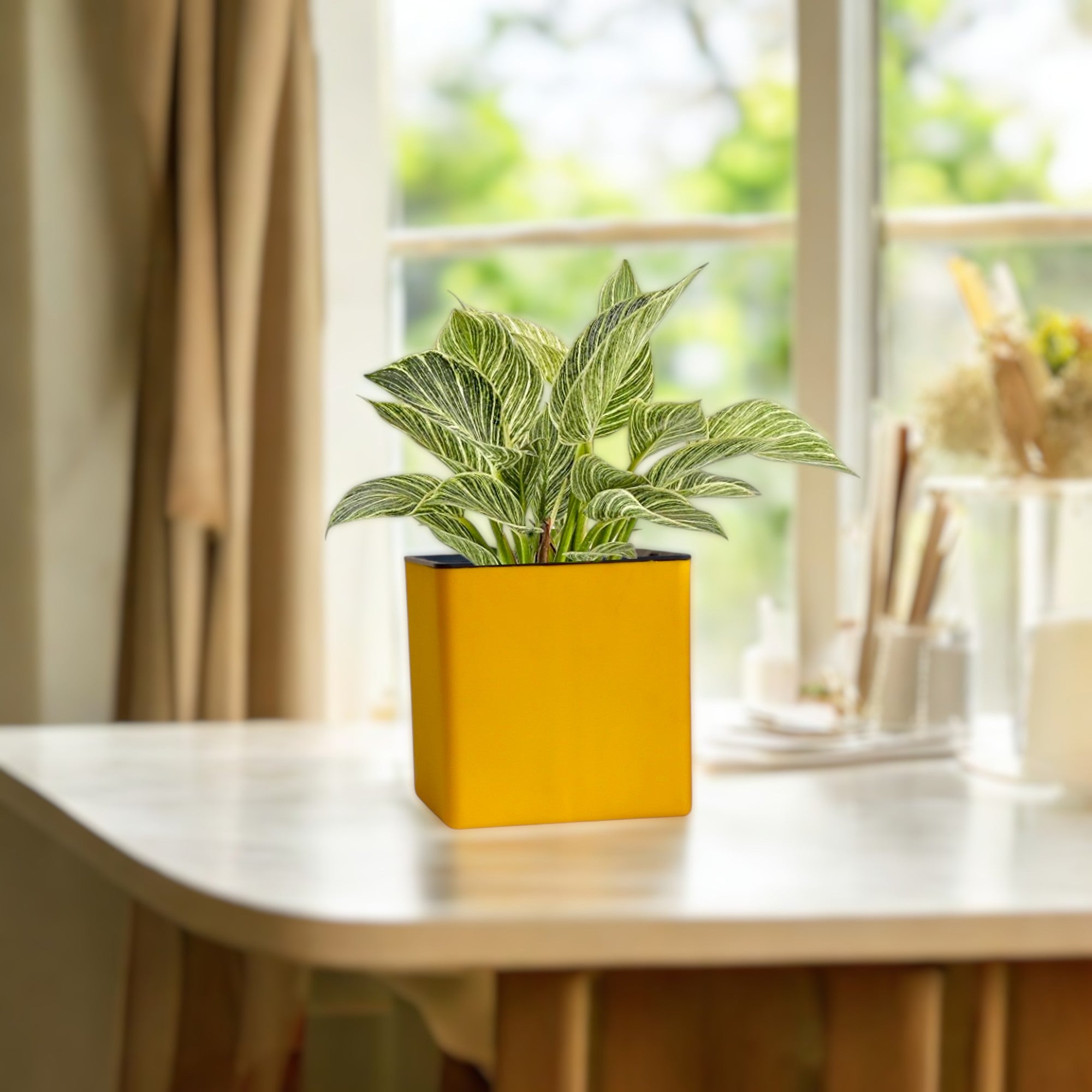 Indian Discovery Self-Watering Wall Hanging Planters (1 Pcs, Yellow, Square) | UV-Resistant Hanging Pots with Stand | Plastic Planters for Balcony, Living Room, Home Décor & Gardening