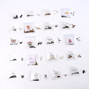 Seeds 20 Varieties Of Flower Seeds Combo (1 Pkt  20 Varieties)