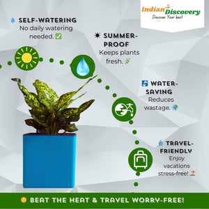 Indian Discovery Self-Watering Wall Hanging Planters (1 Pcs, Sea Green, Square) | UV-Resistant Hanging Pots with Stand | Plastic Planters for Balcony, Living Room, Home Décor & Gardening