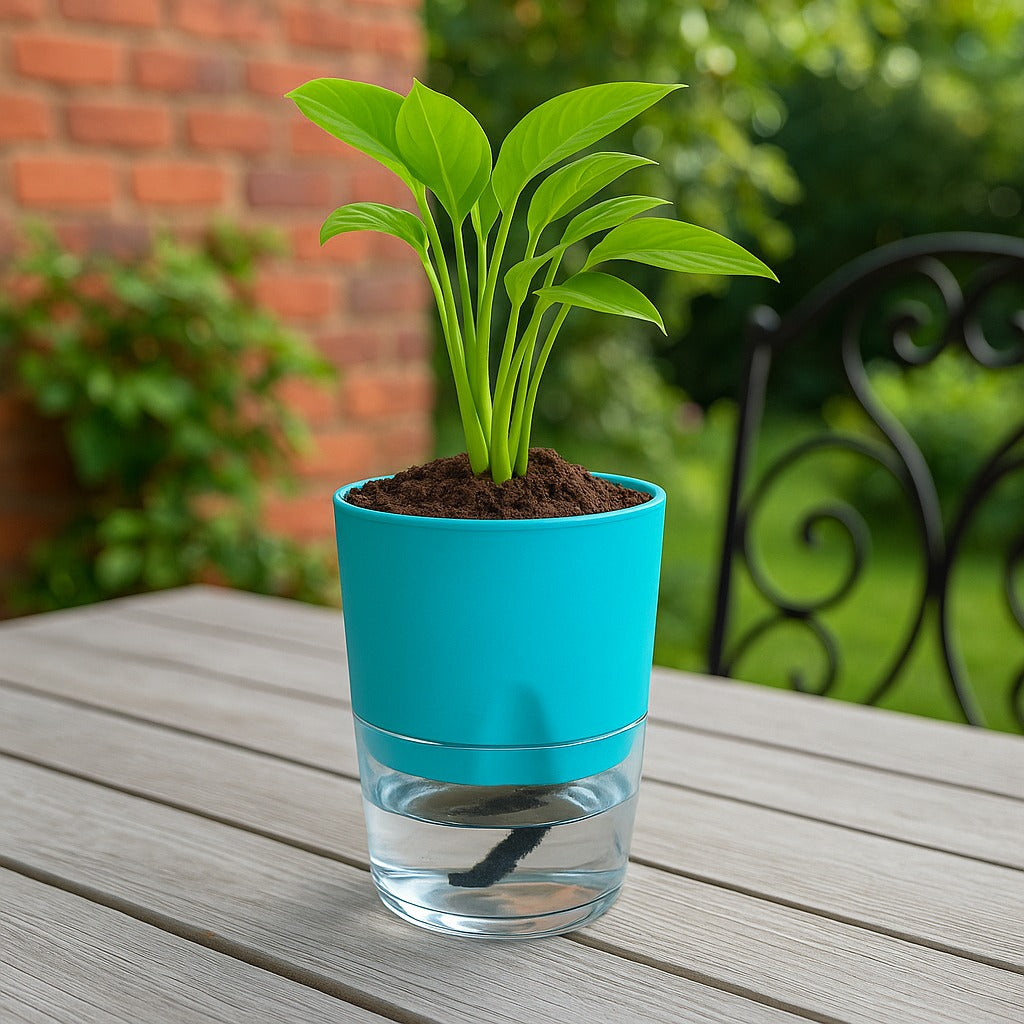Soft Curve Sea Green Self-Watering Small Planter - 4 PC