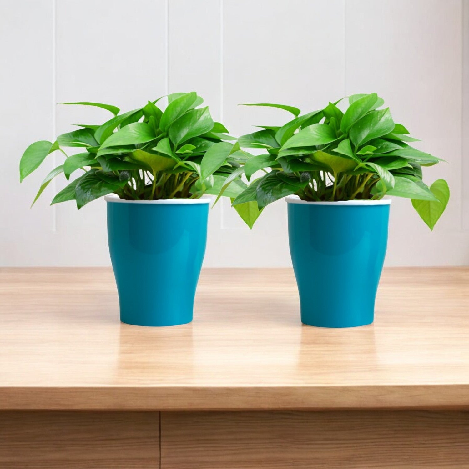 Elegant Sea Green Self-Watering Cone Planter-2PC
