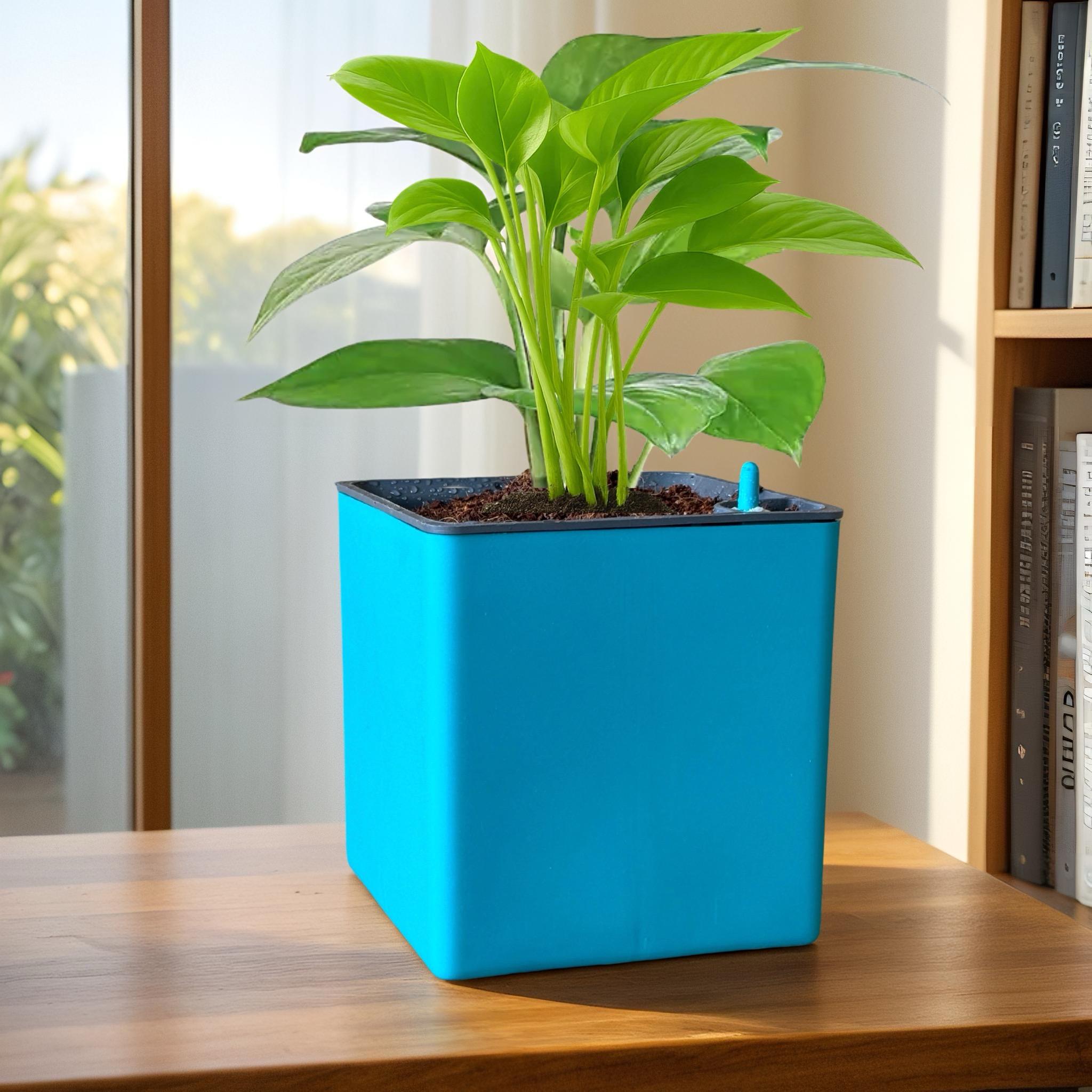 Elegant Sea Green Self-Watering Square Planter