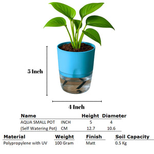 Self Watering Planter with Live Indoor Plant-Sea Green