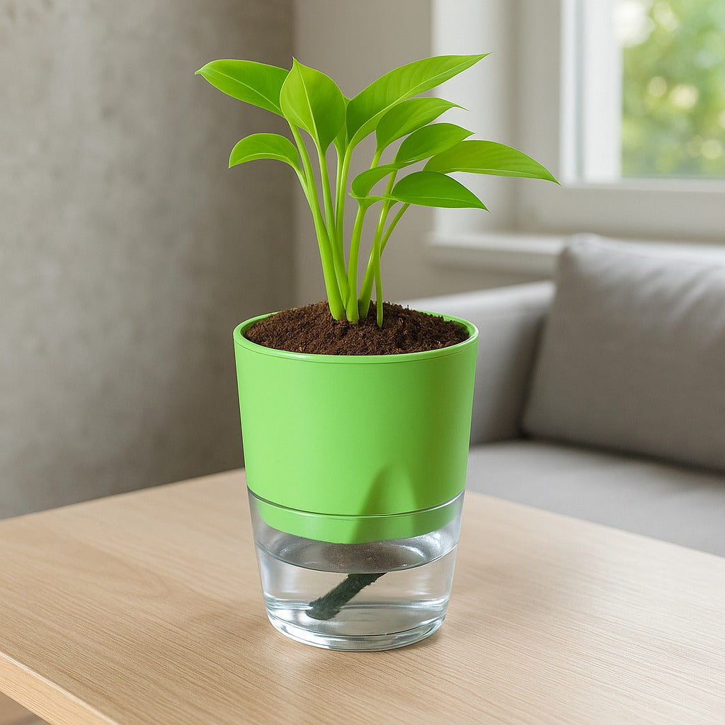 Soft Curve Green Self-Watering Small Planter - 4 PC