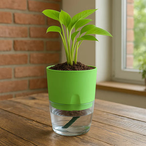 Self Watering Planter with Live Indoor Plant-Parrat Green