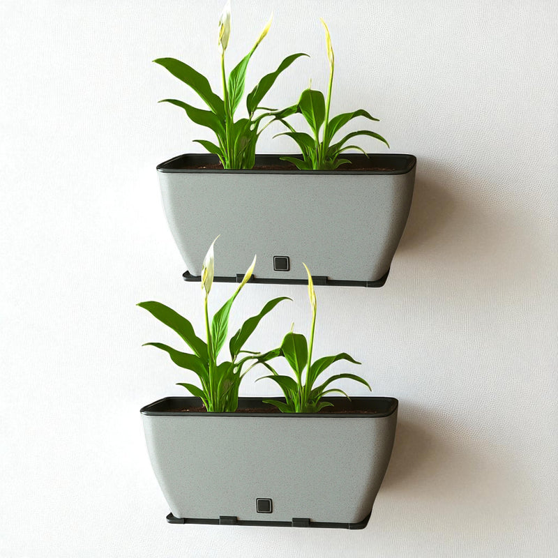 Rectangular Self-Watering Wall Planter - Stone Grey