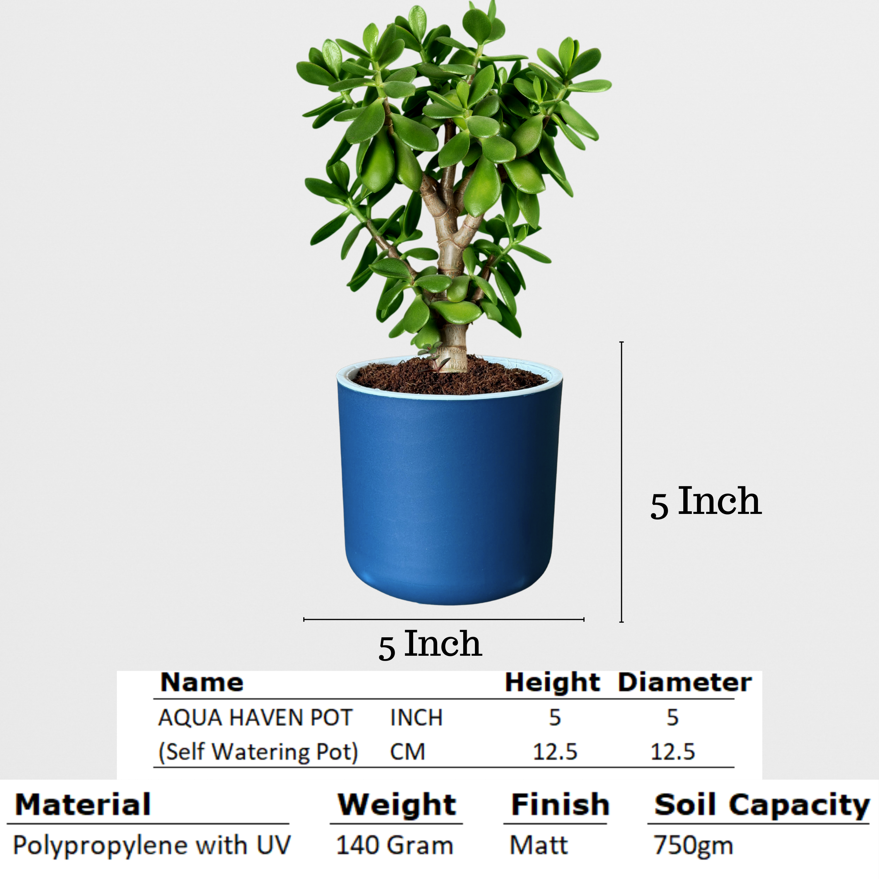 Classic Royal Blue Self-Watering Round Planter