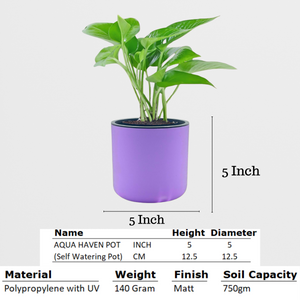 Classic Violet Self-Watering Round Planter
