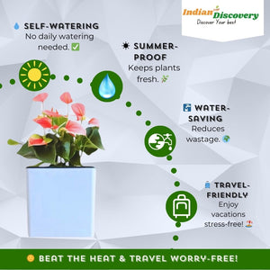 Indian Discovery Self-Watering Wall Hanging Planters (1 Pcs, White, Square) | UV-Resistant Hanging Pots with Stand | Plastic Planters for Balcony, Living Room, Home Décor & Gardening