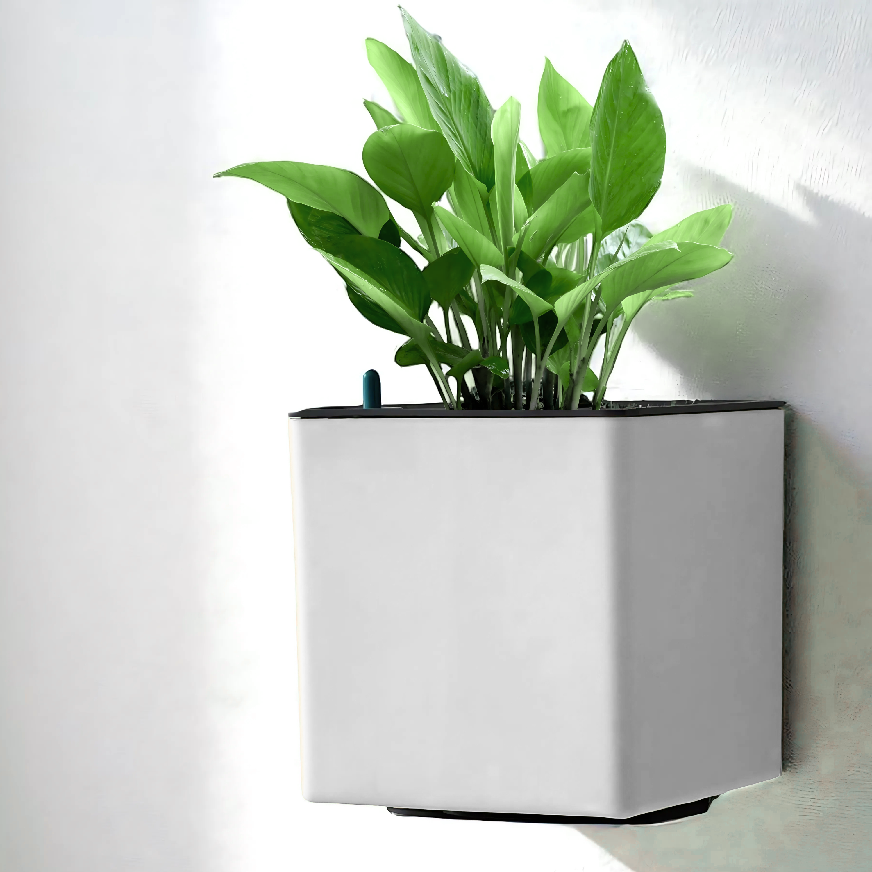 Elegant White Self-Watering Wall Hanging Square Planter