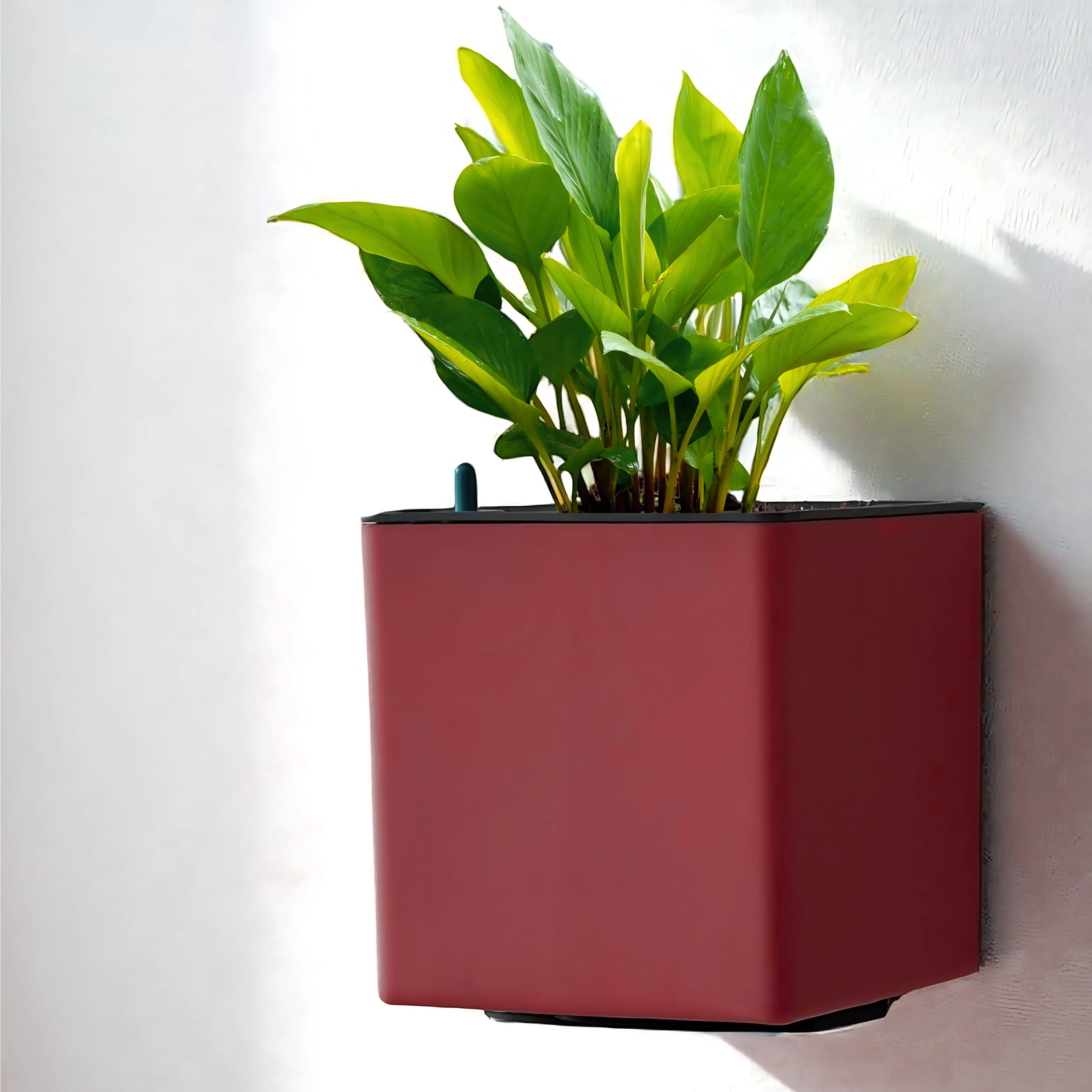 Elegant Maroon Self-Watering Wall Hanging Square Planter