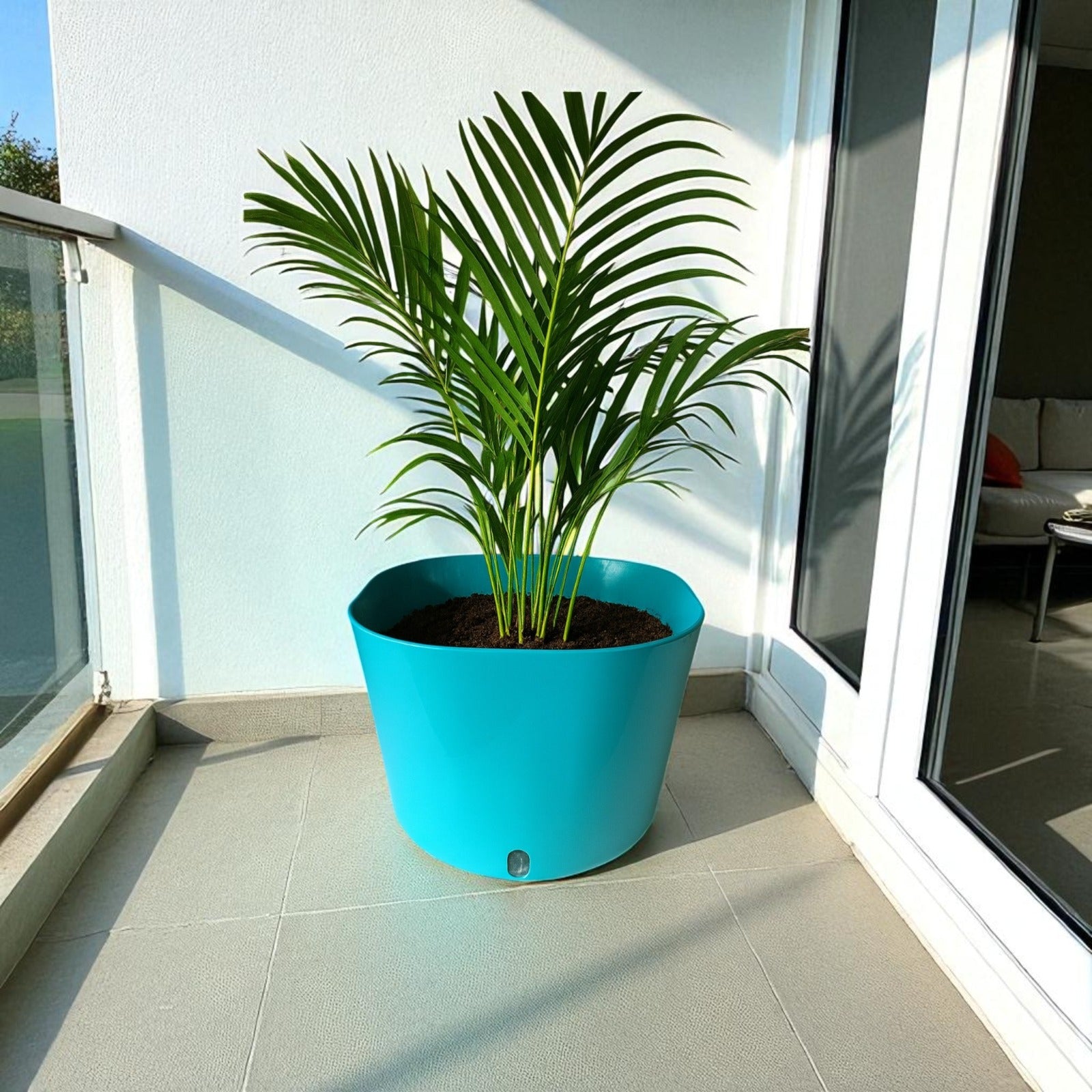Big Cube Self-Watering Plant Container