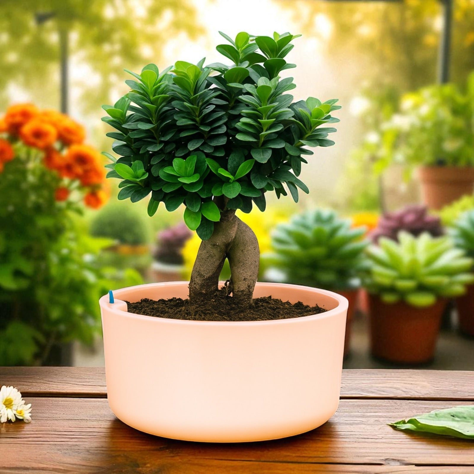 Big Circular Self-Watering Plant Container – Peach