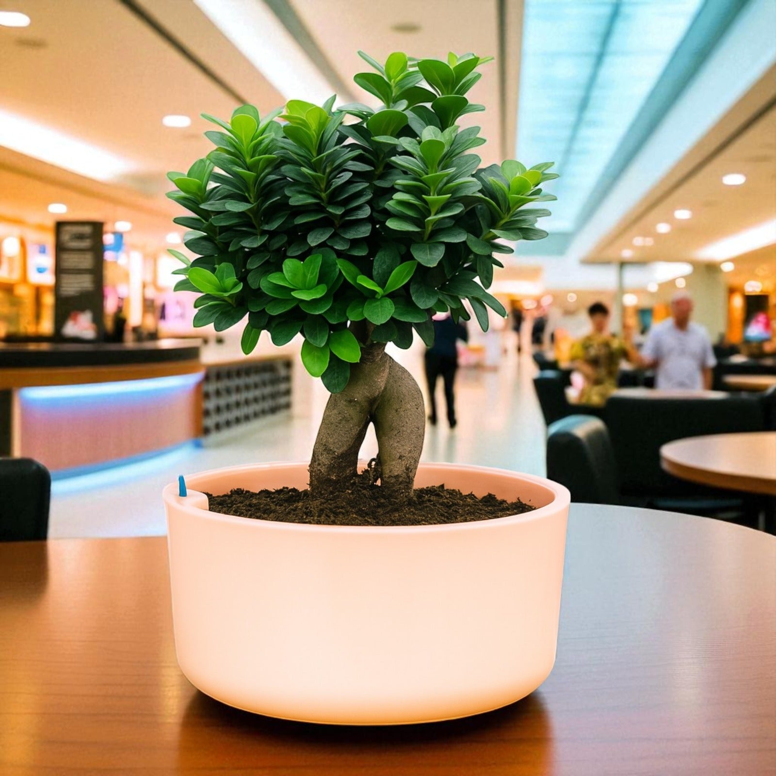 Big Circular Self-Watering Plant Container – Peach