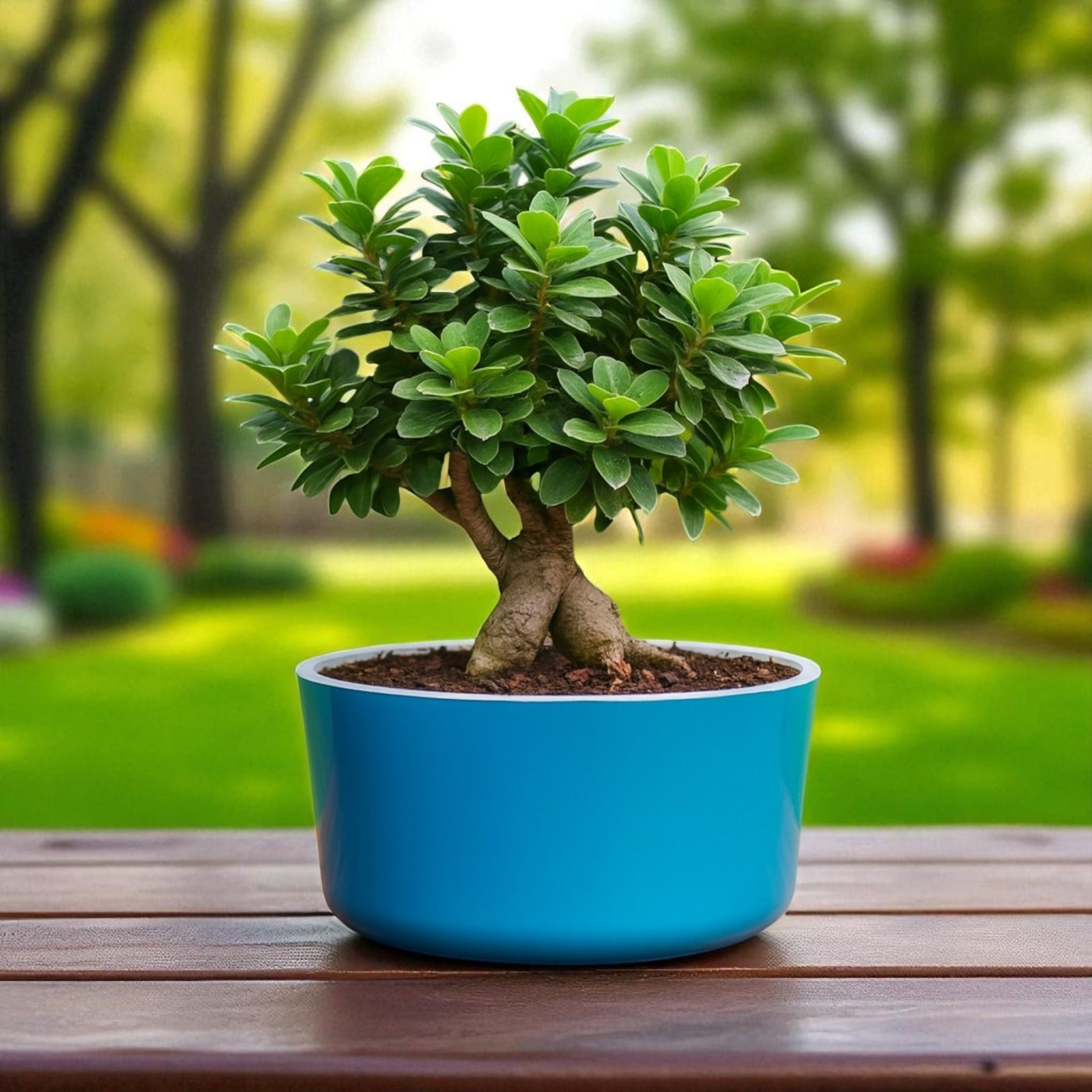Big Circular Self-Watering Plant Container – Sea Green