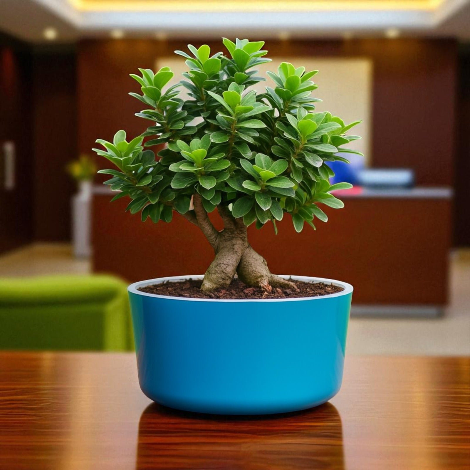 Big Circular Self-Watering Plant Container – Sea Green