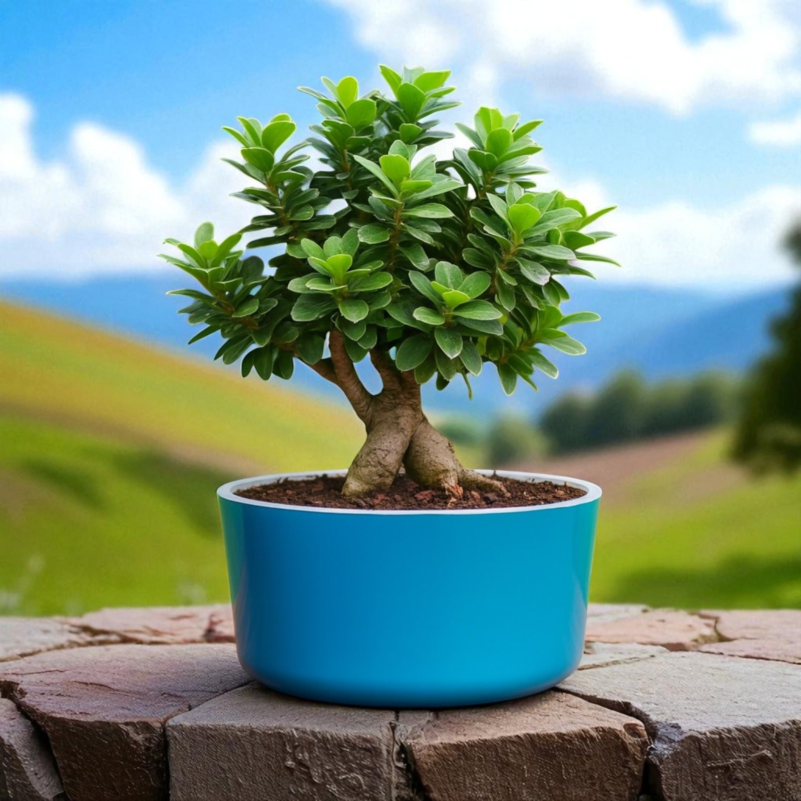 Big Circular Self-Watering Plant Container – Sea Green