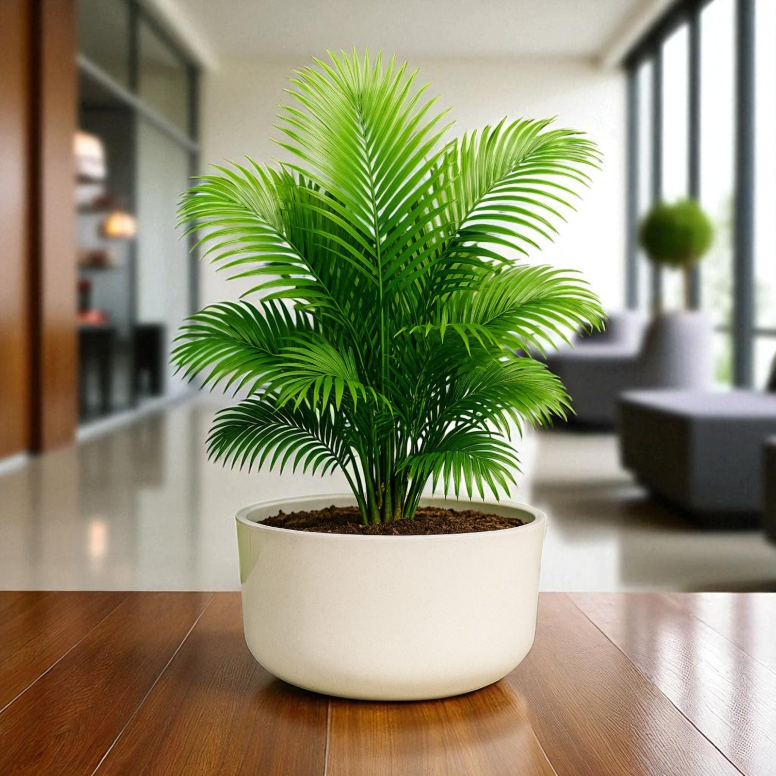 Big Circular Self-Watering Plant Container – White