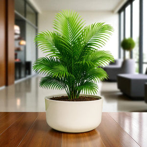 Big Circular Self-Watering Plant Container – White
