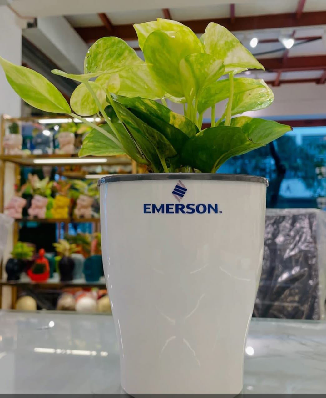 Premium Corporate Gifts– Customized Self-Watering Pot with Plant.