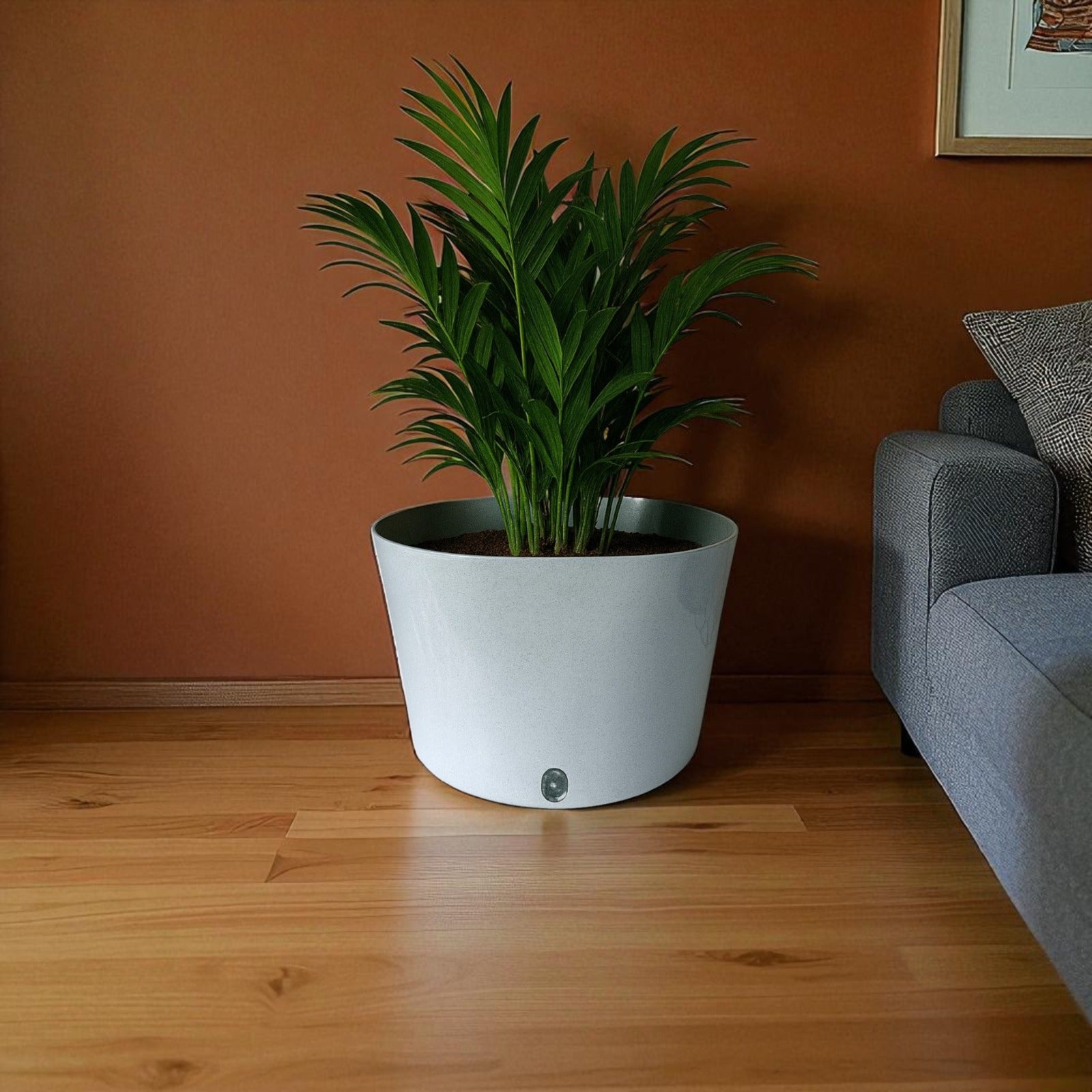 Big Cube Self-Watering Plant Container