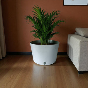 Big Cube Self-Watering Plant Container