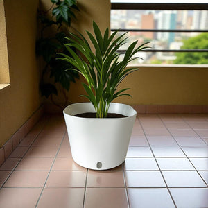 Big Cube Self-Watering Plant Container