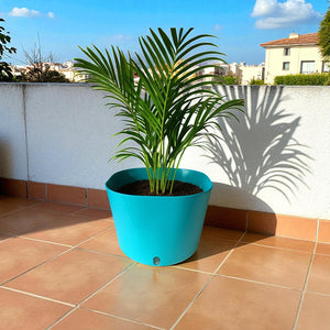 Big Cube Self-Watering Plant Container