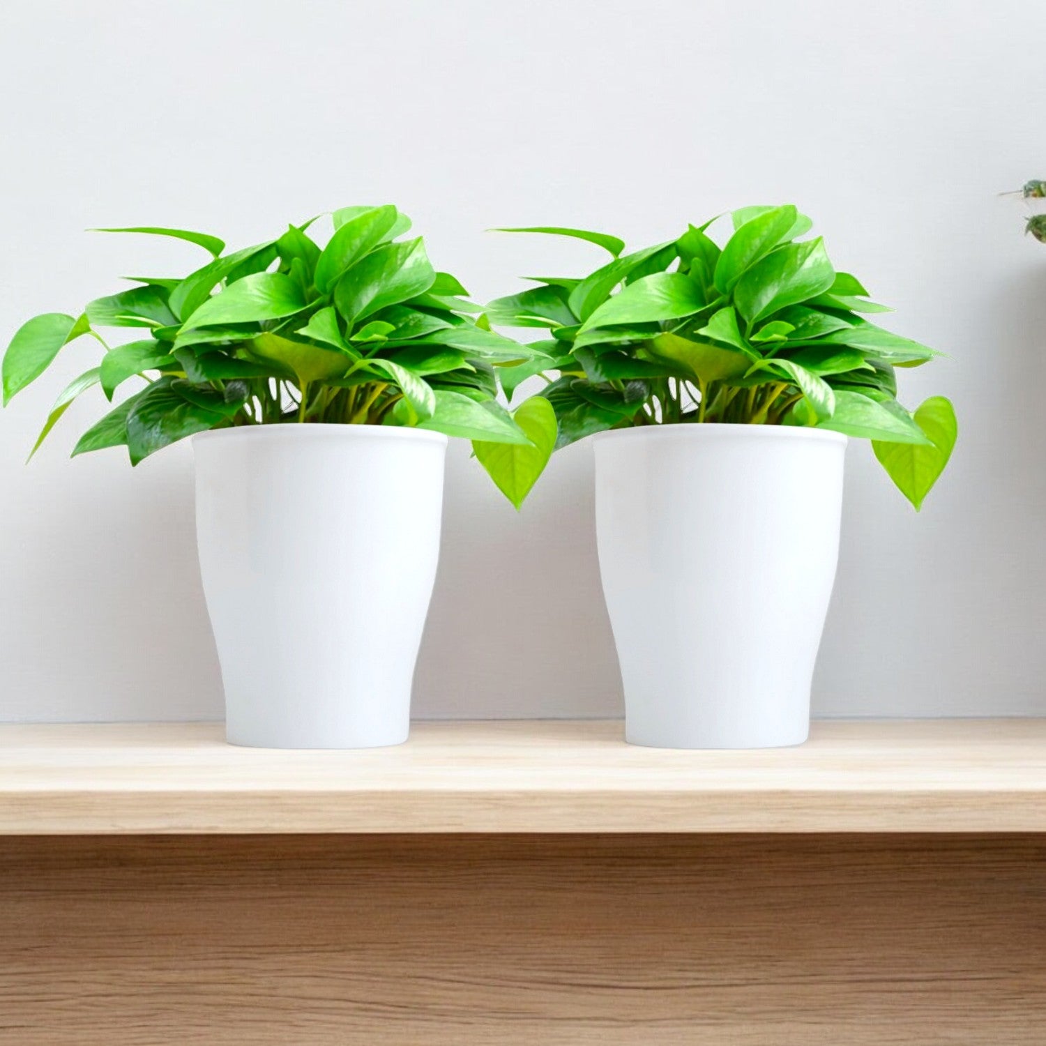 Elegant White Self-Watering Cone Planter-2PC