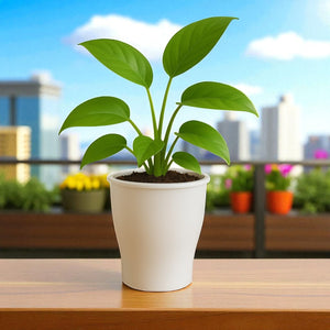 Elegant White Self-Watering Cone Planter-2PC