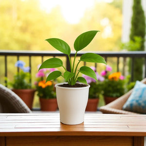 Elegant White Self-Watering Cone Planter-2PC