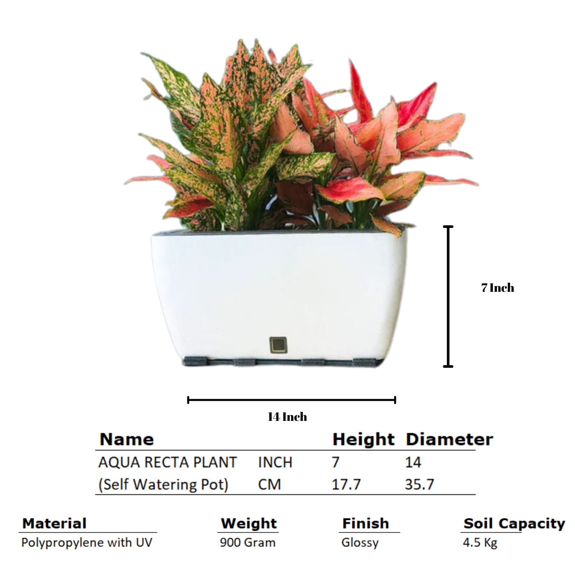 Rectangular Self-Watering Wall Planter - White