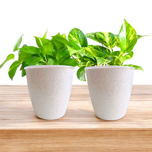 Elegant White Self-Watering Vistara Planter-2PC