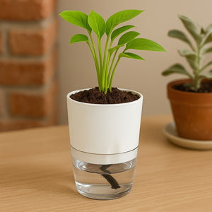 Soft Curve White Self-Watering Small Planter - 4 PC