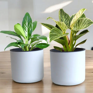 Classic White Self-Watering Round Planter