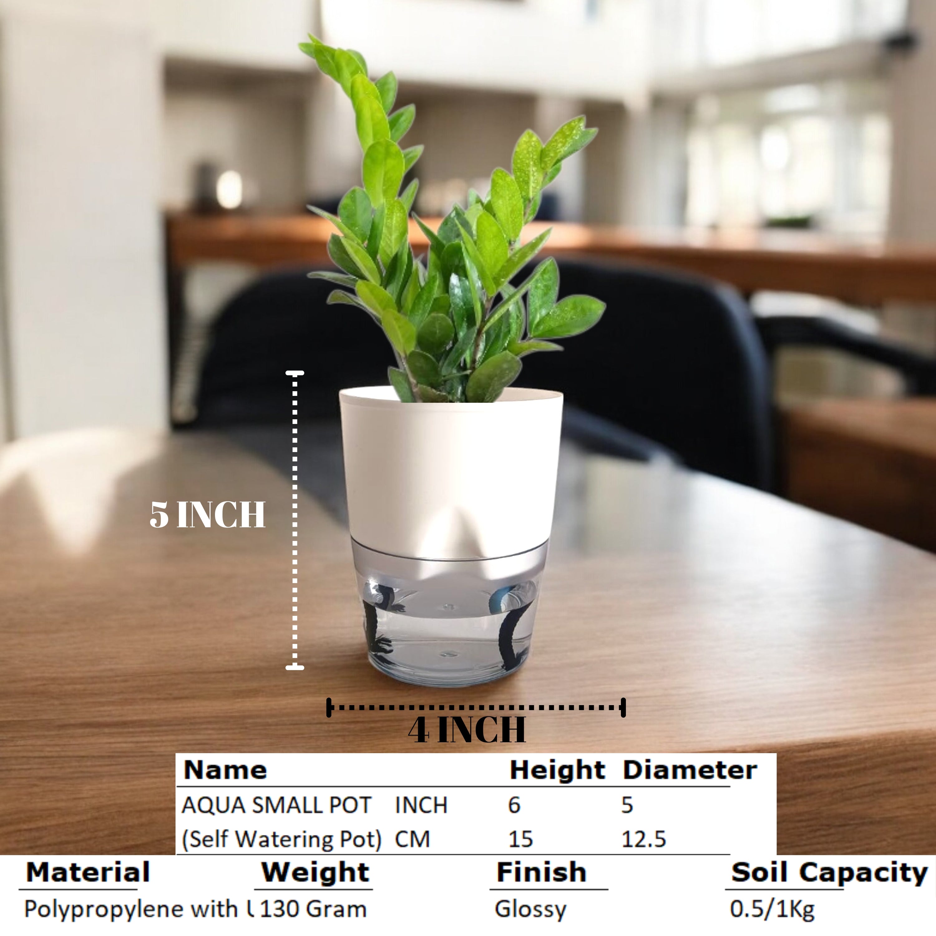 Premium Corporate Gifts– Customized Self-Watering Pot with Plant.