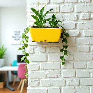 Rectangular Self-Watering Wall Planter - Yellow