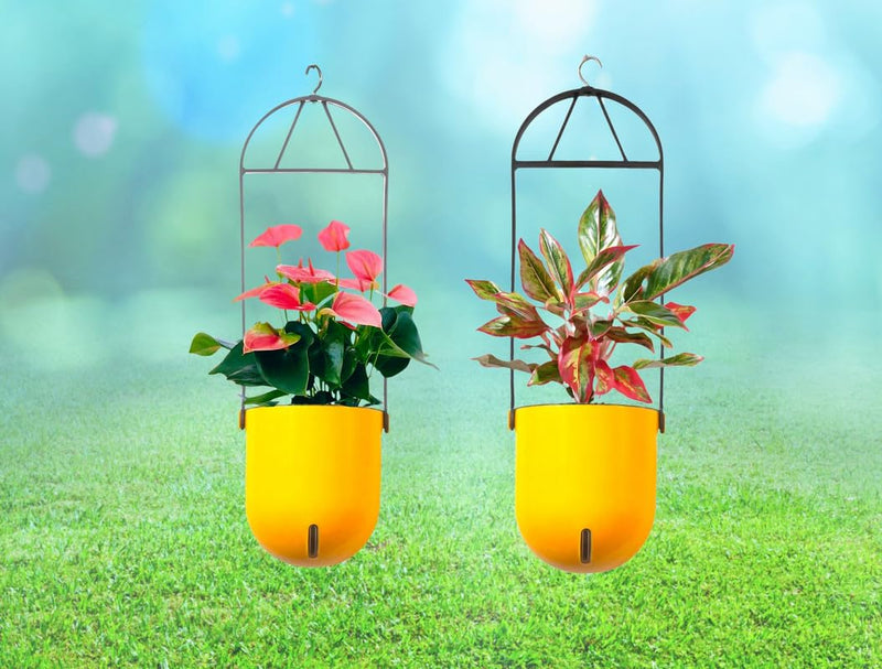 Elegant Yellow Self-Watering Ceiling Hanging Sphere Planter