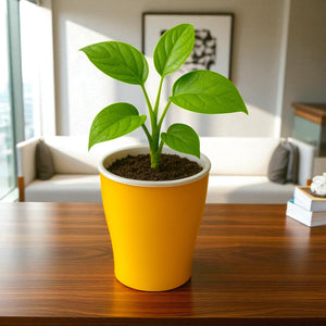 Elegant Yellow Self-Watering Cone Planter-2PC